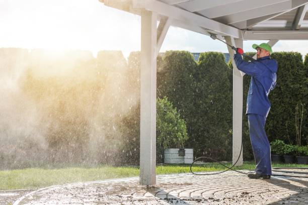 Best Dumpster Area Cleaning  in Bloomingdale, FL