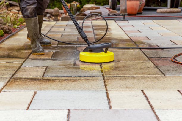 Best Animal Enclosure Cleaning  in Bloomingdale, FL
